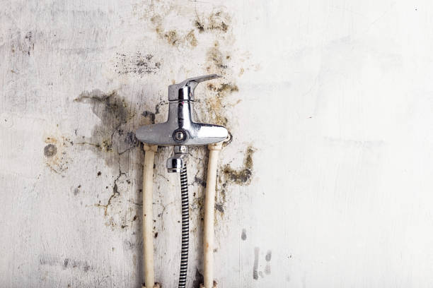 Home Mold Removal in West Islip, NY